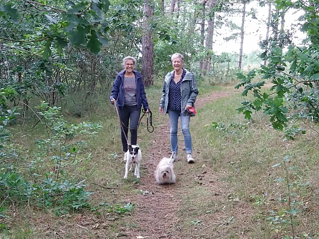Two women walking their dogs on a forest path near Bergen aan Zee