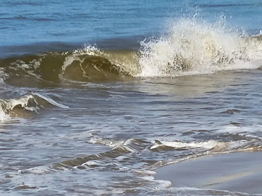 Waves breaking on the beach with sea foam and wet sand