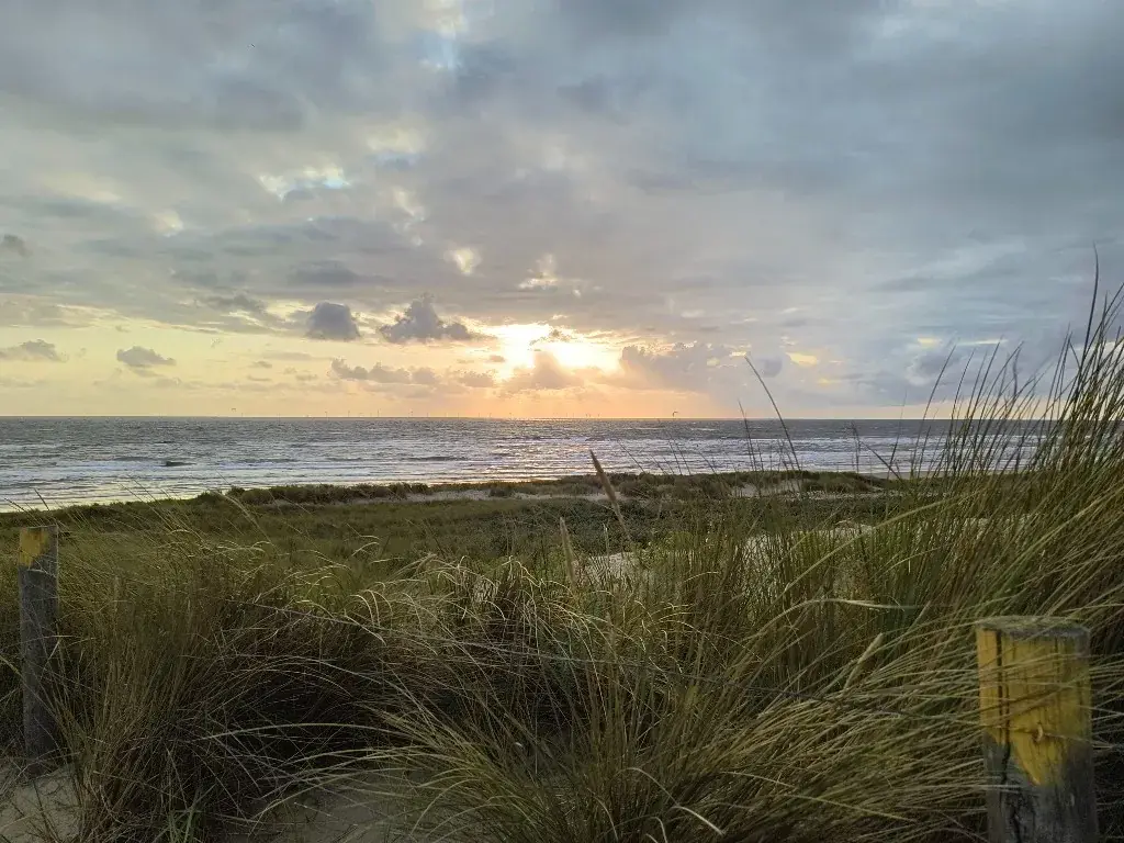 Sunset over the sea seen from the dunes with marram grass